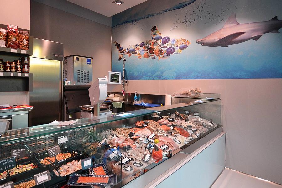 fish-counters